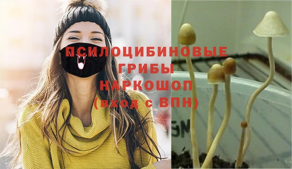 прущие крисы Алексеевка