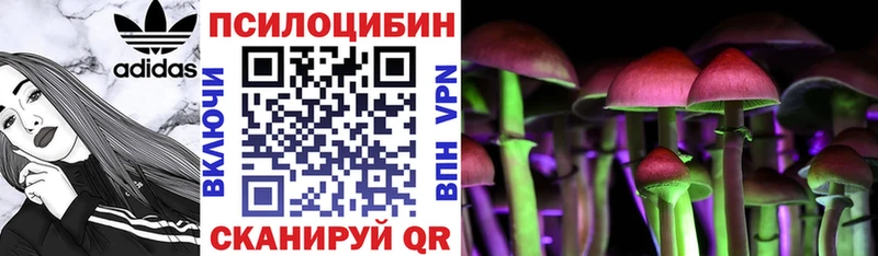 Галлюциногенные грибы Psilocybe  Лаишево 